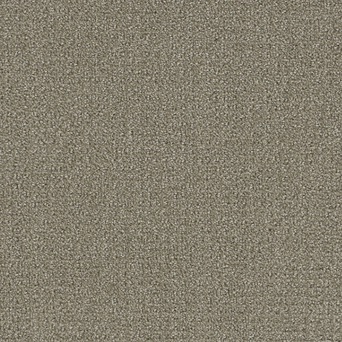 Pinpoint Polyester Stratosphere 6054 Carpet Loop 1