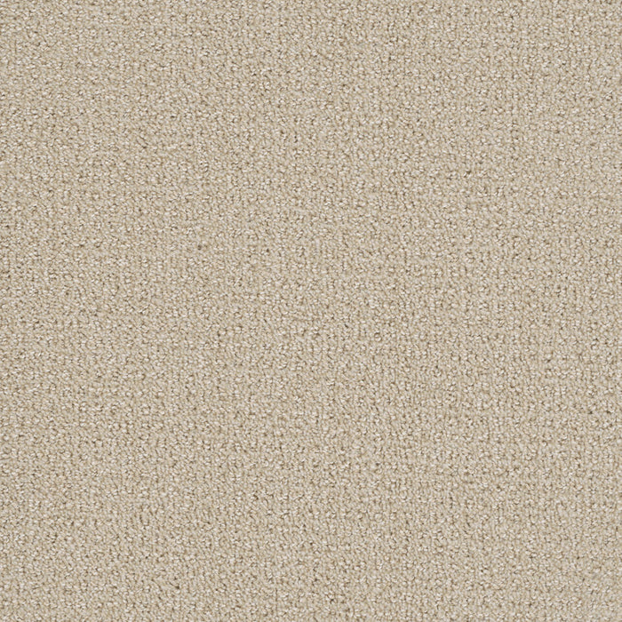 Pinpoint Polyester Champagne Fizz 6309 Carpet Loop 1