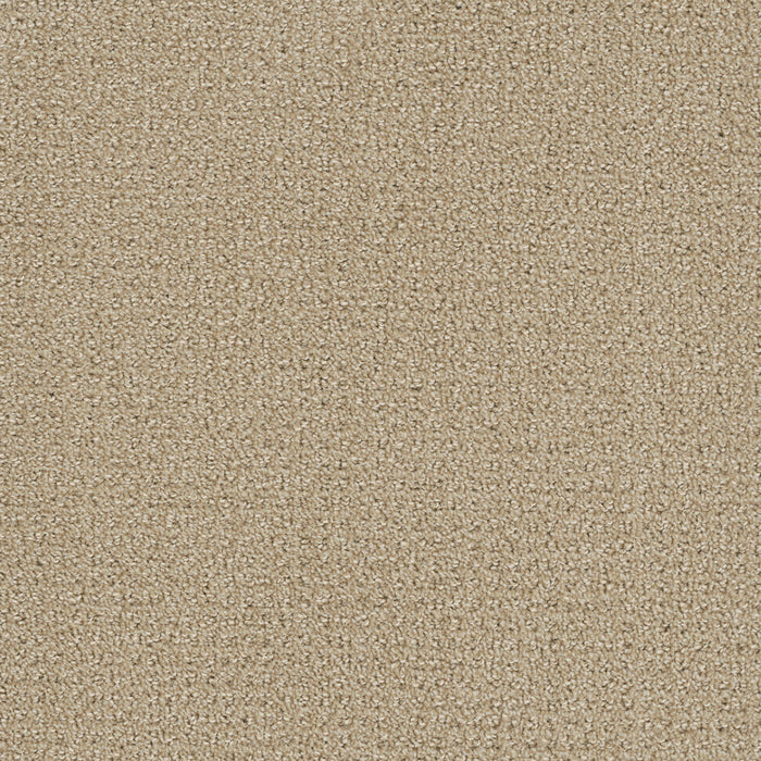 Pinpoint Polyester Soft Pine 6317 Carpet Loop 1