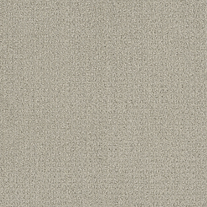 Pinpoint Polyester Snow Cap 6319 Carpet Loop 1