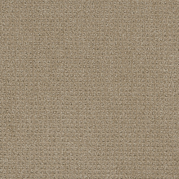 Pinpoint Polyester Warm Sand 6339 Carpet Loop 1
