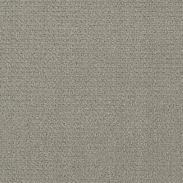 Pinpoint Polyester Graystone 6341 Carpet Loop 1