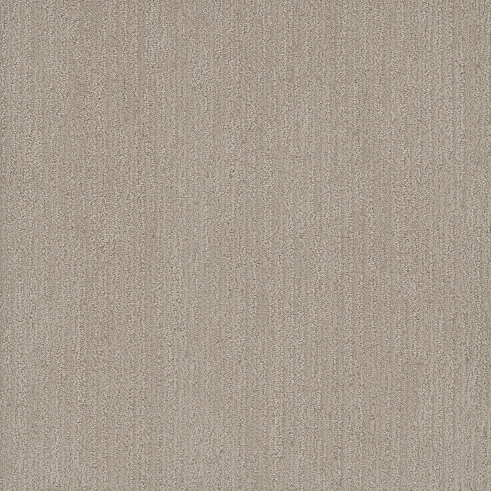 Smooth Sailing Polyester Cosmo 2849 Carpet Loop 1