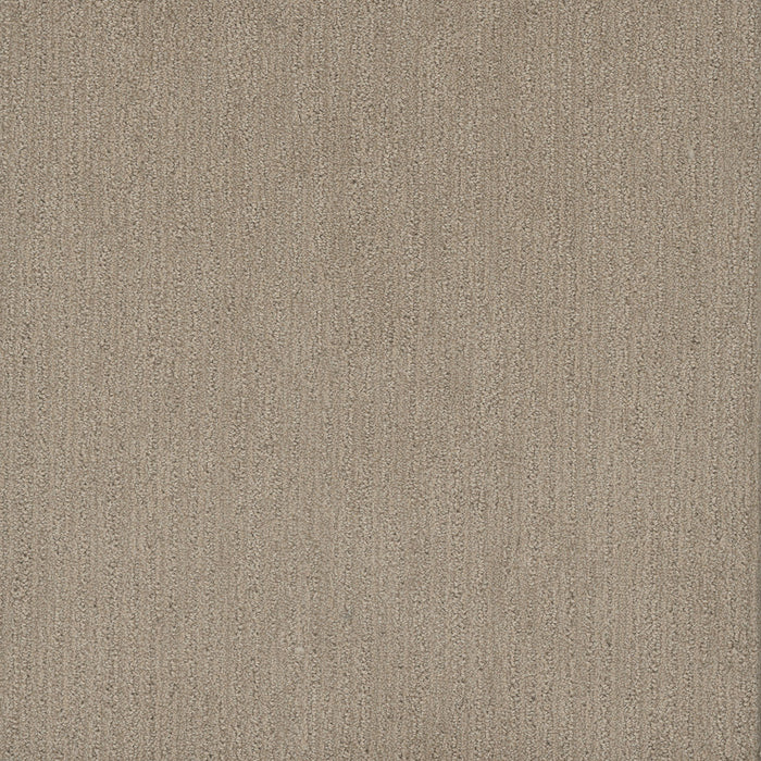Smooth Sailing Polyester Dulce 2937 Carpet Loop 1
