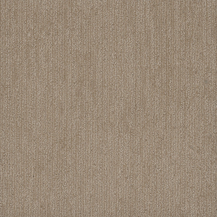 Smooth Sailing Polyester Shortbread 2946 Carpet Loop 1