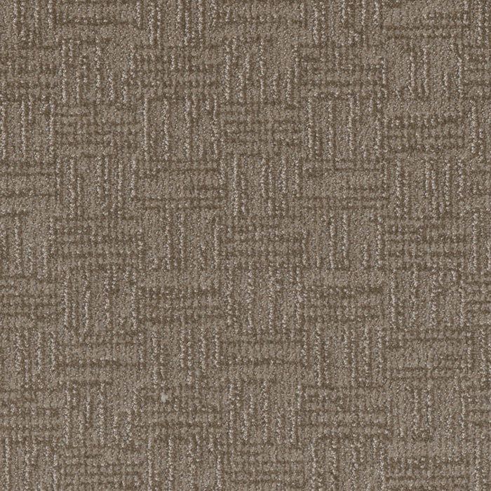 Classic Elements Polyester Warm Autumn 4452 Carpet Loop 1