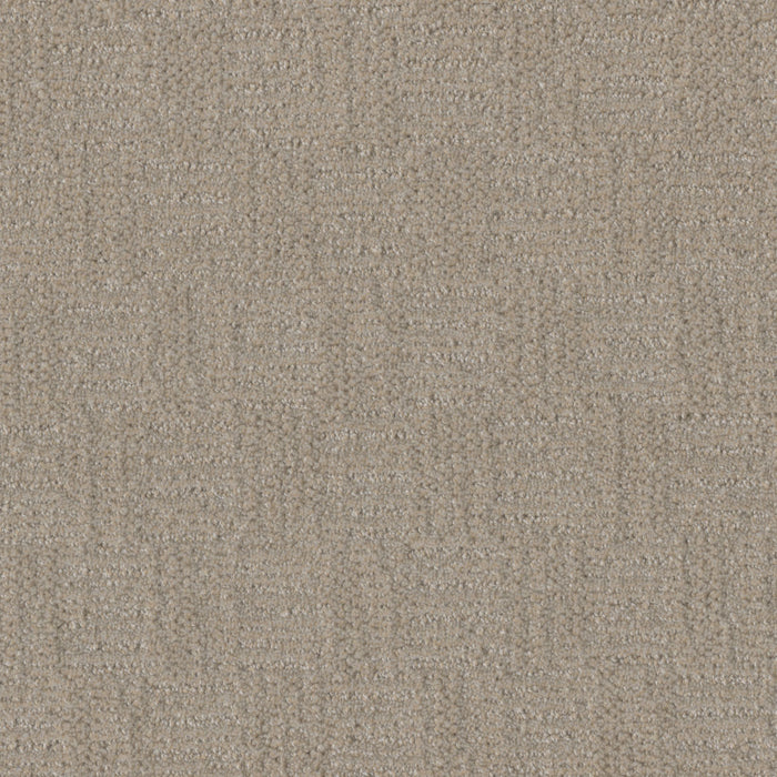 Classic Elements Polyester Brunello 4790 Carpet Loop 1