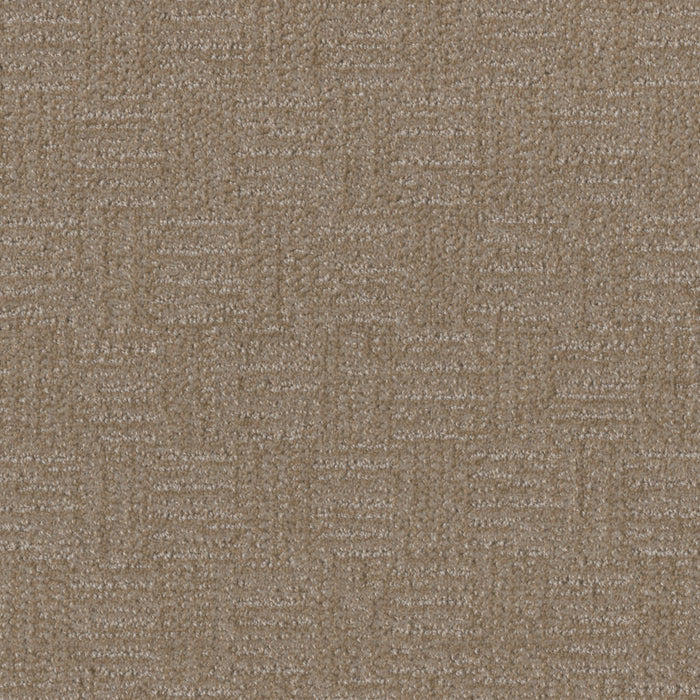 Classic Elements Polyester Kingsport 4838 Carpet Loop 1