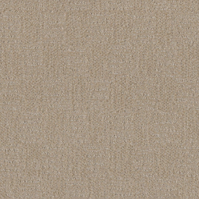 Classic Elements Polyester Frosted Coconut 4920 Carpet Loop 1