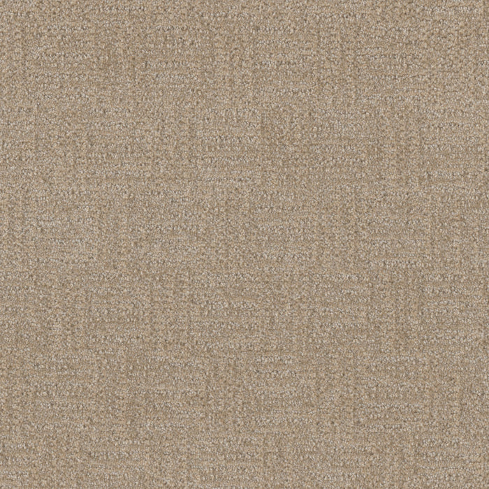 Classic Elements Polyester Milk & Honey 5122 Carpet Loop 1