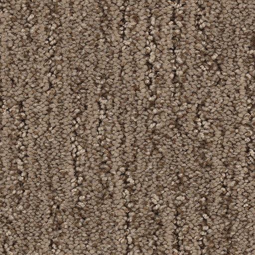 Sculptured Touch Honey Bronze 858