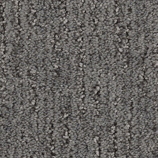 Sculptured Touch Sable Evening 989