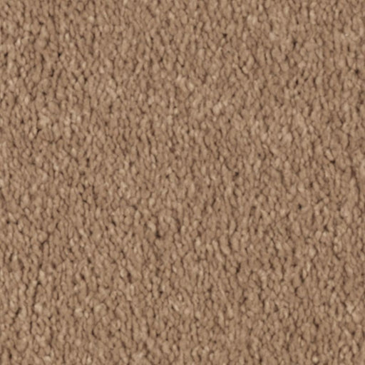 Natural Splendor I Glazed Ginger 504