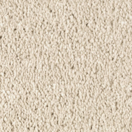 Natural Splendor I Soft Linen 505