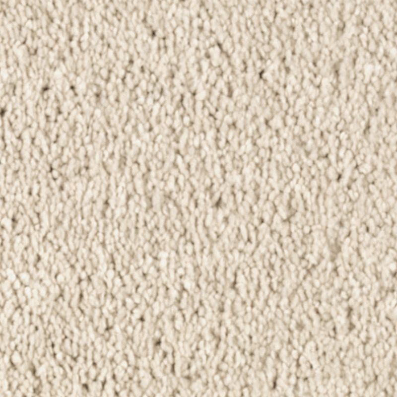 Natural Splendor I Soft Linen 505