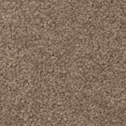 Natural Splendor I Cat Tail 508