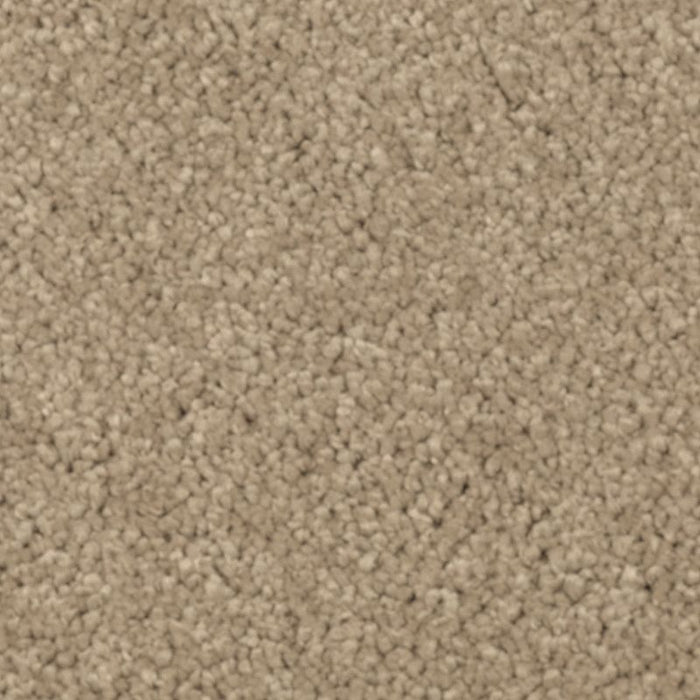 Natural Splendor I Brushed Suede 511