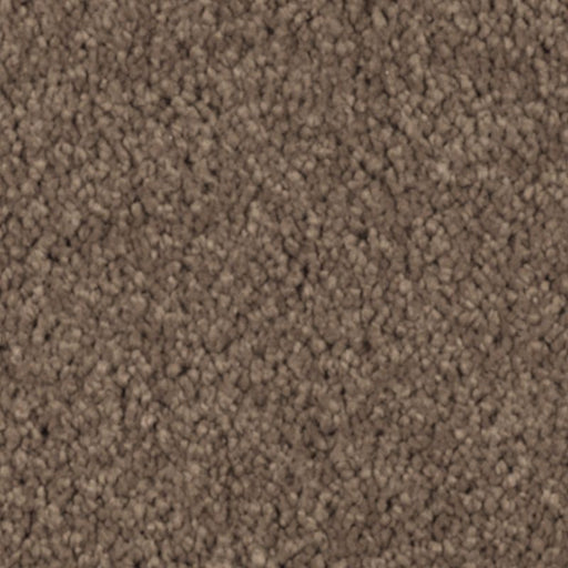 Natural Splendor I Nutmeg 512