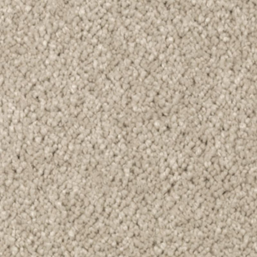 Natural Splendor I Sand Dollar 517