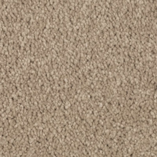 Natural Splendor I Hearth Beige 518