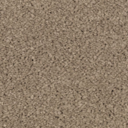 Natural Splendor I Urban Taupe 523