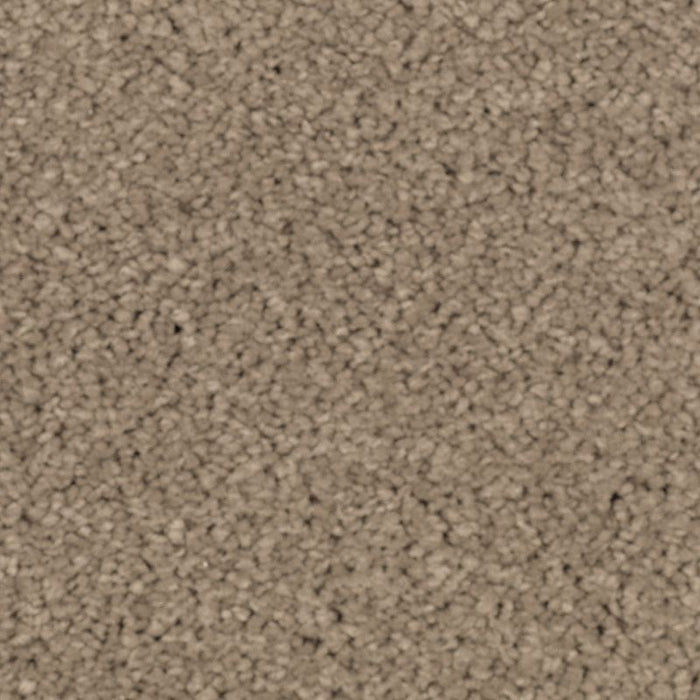 Natural Splendor I Urban Taupe 523