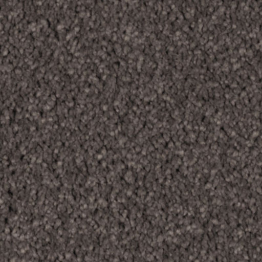 Natural Splendor I Dried Peat 524