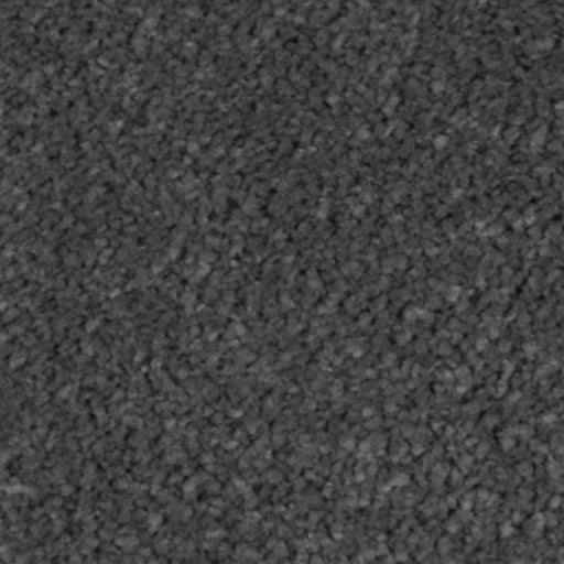 Natural Splendor I Deep Slate 528