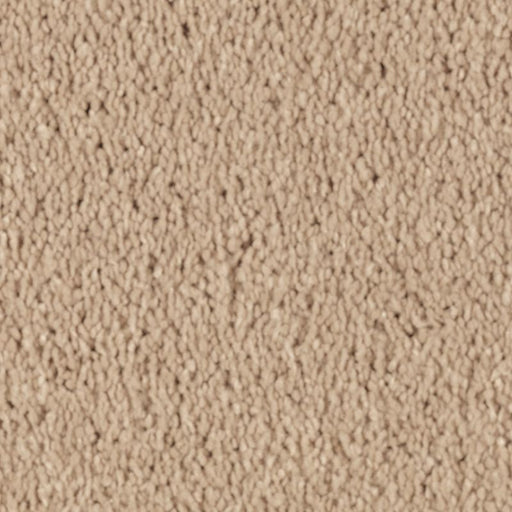 Natural Splendor II Maple Tint 503