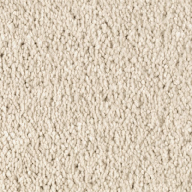 Natural Splendor II Soft Linen 505