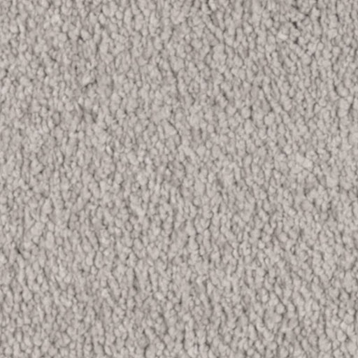 Natural Splendor II Natural Grain 507