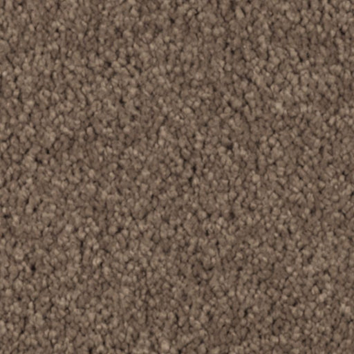 Natural Splendor II Nutmeg 512