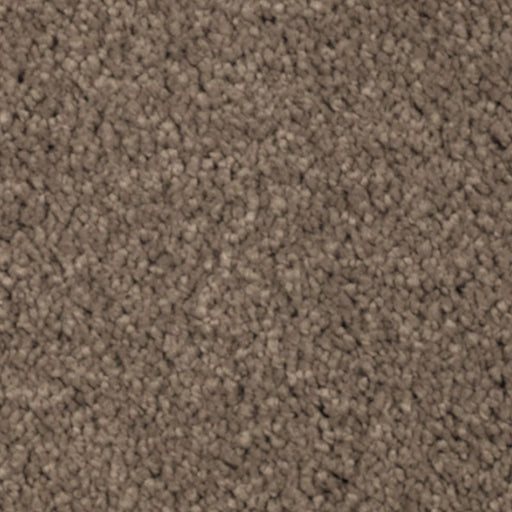 Natural Splendor II Pine Cone 520