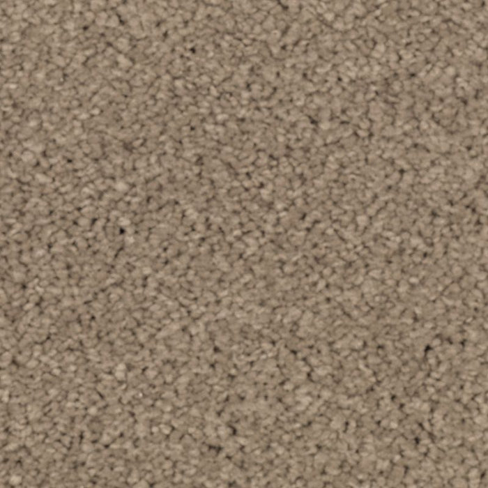 Natural Splendor II Urban Taupe 523