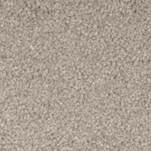 Natural Splendor II Mineral Grey 526