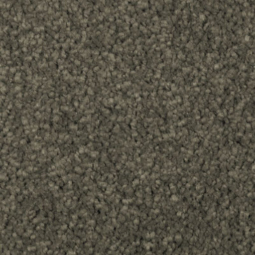 Natural Splendor II Pine Needle 540