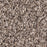 Soft Sensations II Antique Earth 868