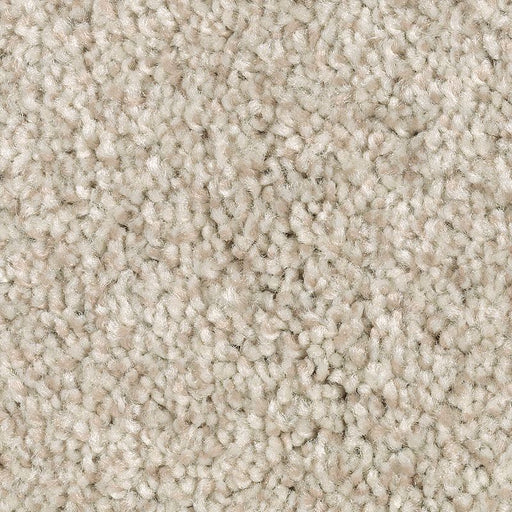 Tonal Chic I Coastal Fog 928