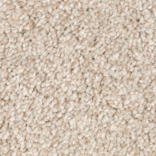 Tonal Chic II Vanilla Steam 746