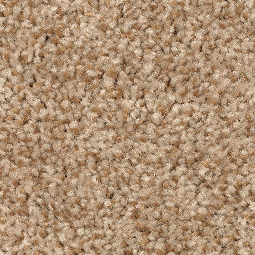 Tonal Chic II Warm Nutmeg 752