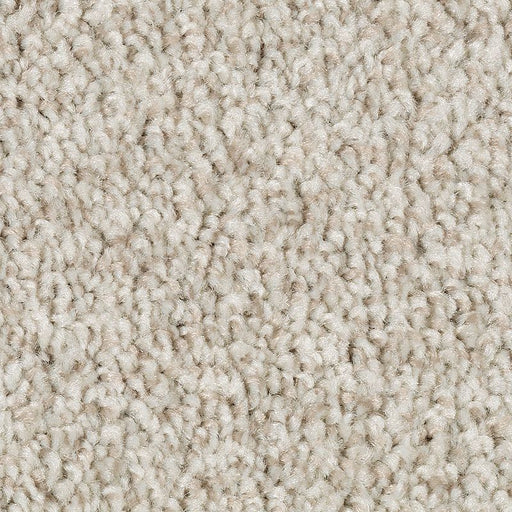 Tonal Chic II Ancestral Haze 809