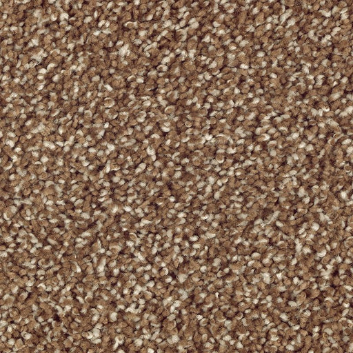Natural Refinement I Cat Tail 508