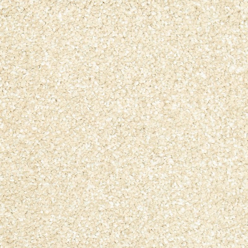 Natural Refinement I Sand Dollar 517