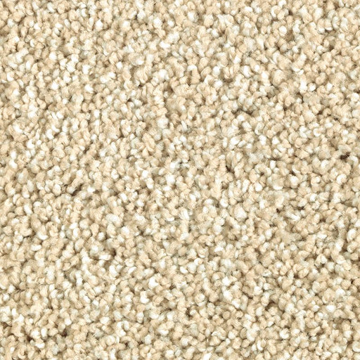 Natural Refinement II Parchment 509
