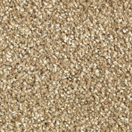 Natural Refinement II Toasted Bagel 514