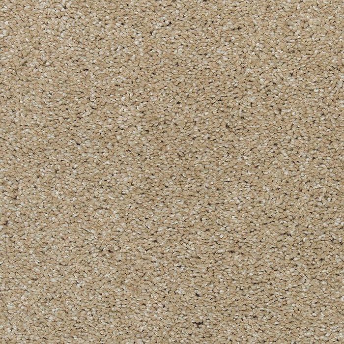 Natural Refinement II Sand Dollar 517