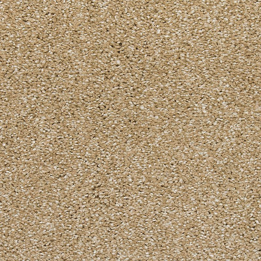 Natural Refinement II Hearth Beige 518