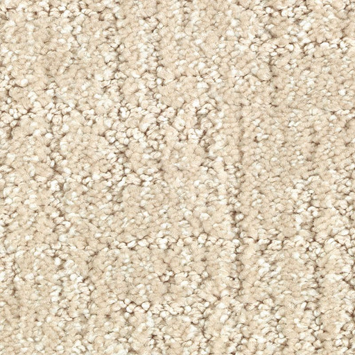 Natural Artistry Sand Dollar 517