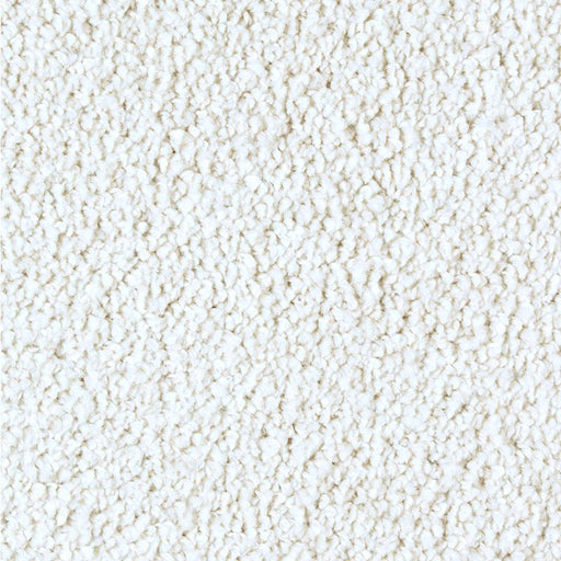 Exquisite Shades Monarch Bone 508