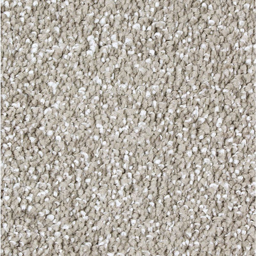 Exquisite Shades Classical 519